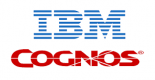 IBM Cognos Training in Ireland