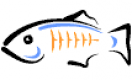 GlassFish Training in Ireland
