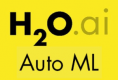 H2O AutoML