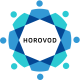Horovod Training in Ireland