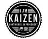Kaizen Training in Ireland