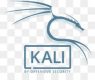 Kali Linux Training in Ireland