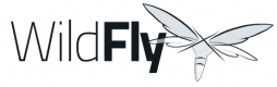 Wildfly Training in Ireland